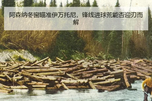 a-sen-na-dong-chuang-miao-zhun-yi-wan-tuo-ni-feng-xian-jin-qiu-huang-neng-fou-ying-ren-er-jie-3-854.jpg