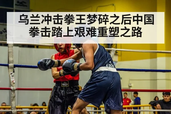 乌兰冲击拳王梦碎之后中国拳击踏上艰难重塑之路