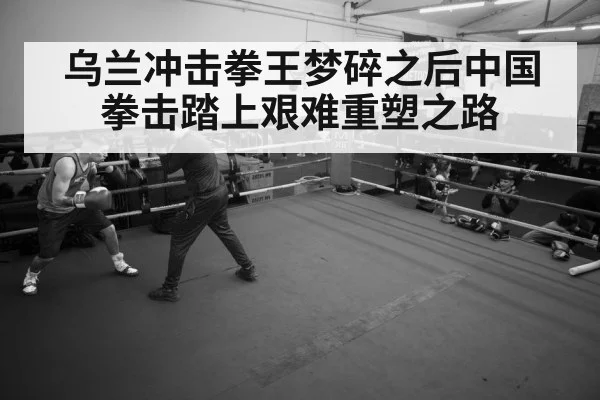 boxer training gym
