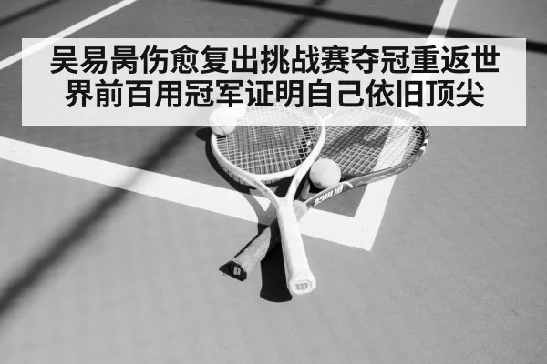 吴易昺伤愈复出挑战赛夺冠重返世界前百用冠军证明自己依旧顶尖