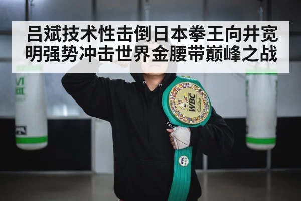 吕斌技术性击倒日本拳王向井宽明强势冲击世界金腰带巅峰之战